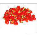 2015 Новый урожай Goji Berry Wolfberry, Ningxia Goji Berry Fruit